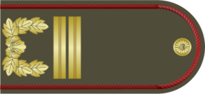 EOH Army Sergeant.png